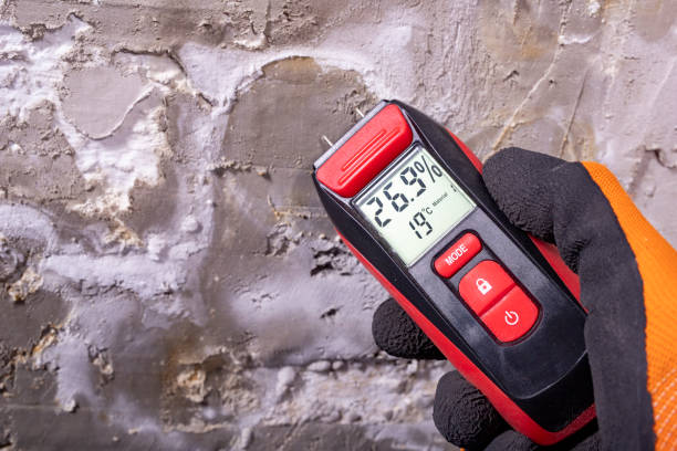 Best Crawl Space Mold Removal  in Shoreline, WA