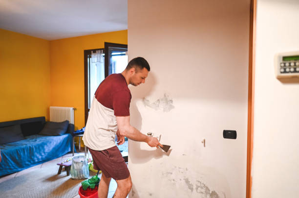 Best Crawl Space Mold Removal  in Shoreline, WA